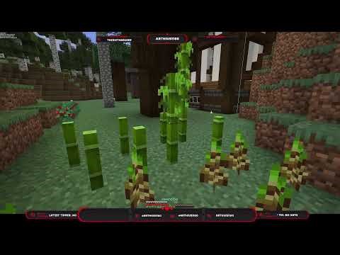 Minecraft Streaming stop in and chat!!!!