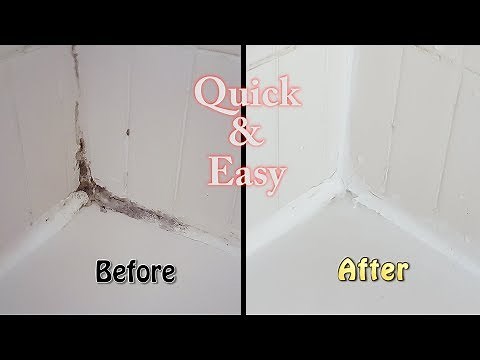 How to clean Bathtub Mold quickly & easily WITHOUT SCRUBBING!