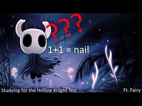 Studying for the Hollow Knight Test: Ft.Fairy