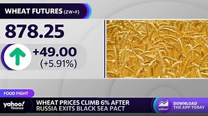 Wheat prices climb upon Russia's exit on export pact, escalations in Ukraine war