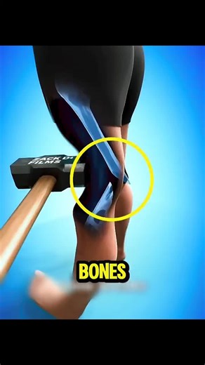 What If Your Body Had No Bones?