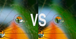 Cross Polarization: What It Is and Why It Matters