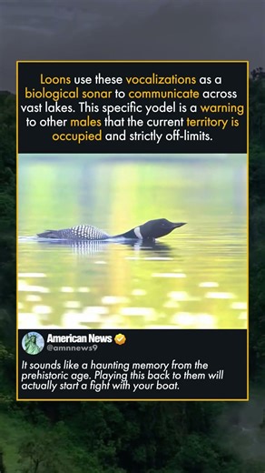 MOST PREHISTORIC SOUNDING BIRD