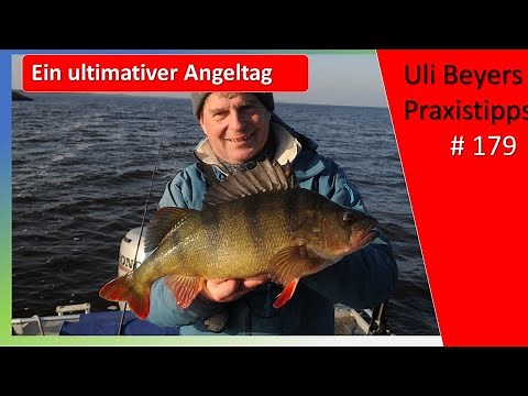 Der Zerstörer - Fox Rage Zander Pro