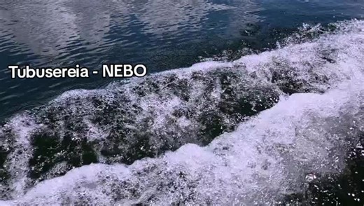 #tubusereiavillage #fyppppppppppppppppppppppp #2026