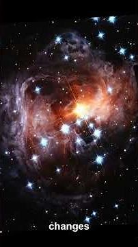 How the North Star Measures the Cosmos