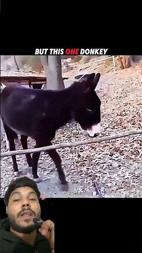 “All Donkeys Jumped… But One Used Brain 😳🐴 | Smart vs Blind Following | Viral Moment”
