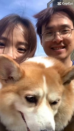 Thank you 2023. My most courageous year ✨ #recap2023 | Denise 蔡心怡