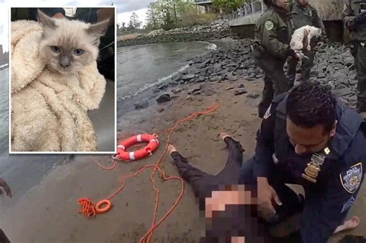 NYPD rescues woman, cat stranded in East River under Brooklyn Bridge: video