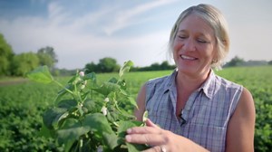 Standard Process Inc. Cataplex F - Whole Food Supplement, Thyroid Support, Metabolism, Skin Health, and Hair Health with Vitamin B6, Iodine, Flaxseed Oil - 90 Tablets