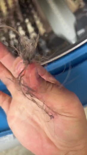 Drop your ?s! #washingmachine #washingmachineclean #cleantok #cleaningcreatorsconnect #weddingtok #weddingtips #newhomeowners #cleanwithme #frontloaderwasher