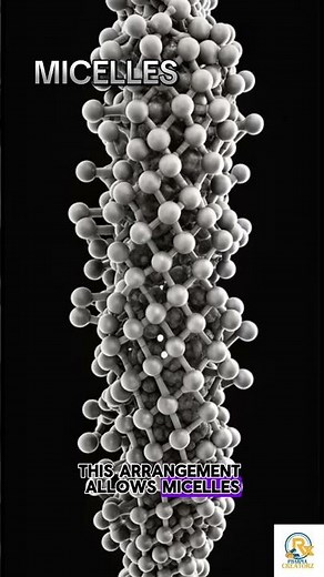 Micelles Definition -By Prof. Ashish Baldi #Micelles #drugdelivery