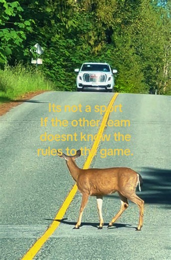 Edit!:(for those who think im hating on ALL hunting, thats simply js not true.)Im not fully against hunting, Im against unethical hunting; not ethical hunters. Example of unethical: poachers who k!ll for one part or a few n scrap the rest, people who hunt just for fancy head mounts on the walls and nothing else, killing animals dor taxaderimy when we could be using animals who pass of natural causes, etc. example of ethical hunting would be: people who respect the animals, k!lls as humanely as t