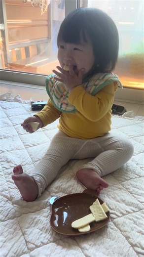 1歳26日目 頭突きを覚えた1歳児#hana #4兄弟 #末っ子 #頭突き #1歳 #かわいい #癒し #おせんべい #おやつ #お菓子 #ハイハイン