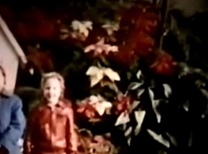 101K views · 2.4K reactions | Bing Crosby - It`s Beginning To Look...