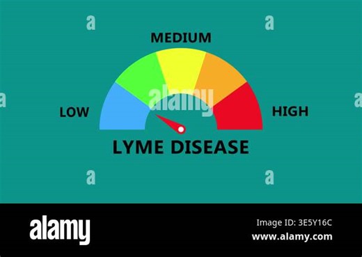 Lyme disease gauge with needle showing infection level transparent background 4k visuals 4k animation video Stock Video Footage - Alamy