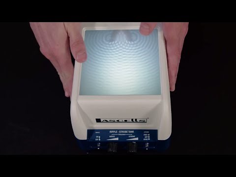 Reflection, Refraction, Diffraction & Interference...That's Cool! | Mini Ripple Tank