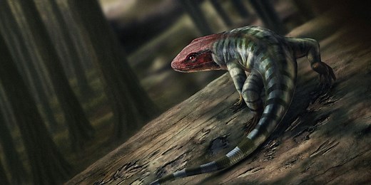 Fossil Hunters Discover Earliest Known Footprints of a Reptile-Like Creature, Pushing Back the Timeline of Their Evolution
