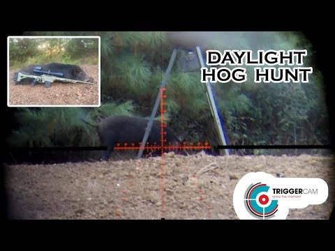 Trigger Cam 2.1 on a Vortex Strike Eagle 5-25 Hog Hunt