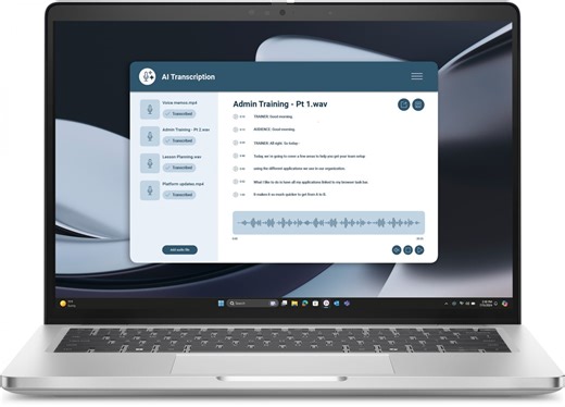 Dell Pro 14 Plus Pb14255 Amd | La verità