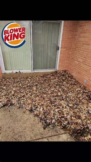 Effective Leaf Removal Techniques for St. Louis