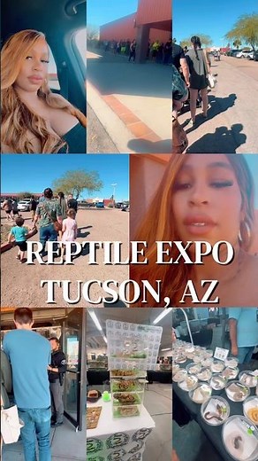 Reptile Expo🐢🐍🦎
