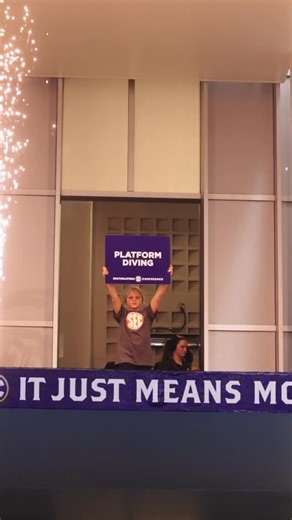 LSU Swimming & Diving | A Golden Night for the King of the Platform 🤴👑 | Instagram