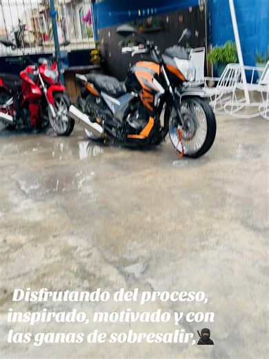 Cómo armamos el carrito paso a paso