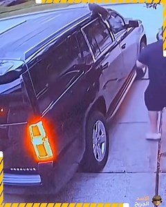 Unbelievably strange actions with animals | Technology And Life