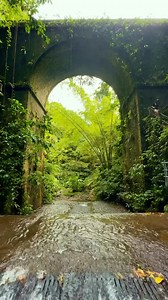 🌿 Évasion au cœur de la Martinique Laissez-vous guider par le chant des oiseaux et le murmure de l’eau… Cette rivière aux eaux cristallines, nichée dans une végétation luxuriante, est une véritable invitation à l’aventure et à la sérénité 💧 | Corsair