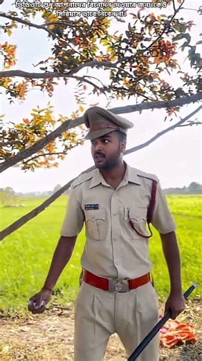 Part:13 Alone in the Forest — Building a Wooden Cabin 🪵