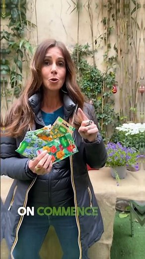 How to properly sow our seeds in the garden or in our balcony planter