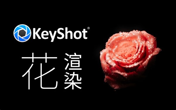 【KeyShot】花的渲染#植物#