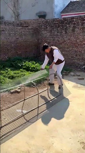 Build a DIY Chicken Tunnel in Seconds! 🐔✨
