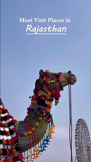 Must visit places in Rajasthan Part-2 ✨🦚🦢