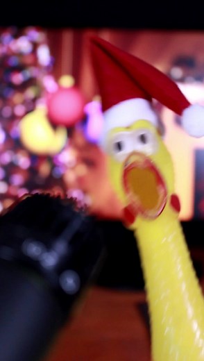 #twelvedaysofchristmas #christmas #misterchicken #mrchicken