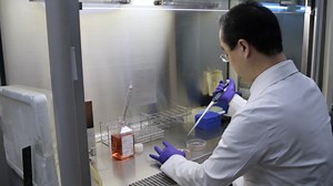 Establishment and Characterization of Three Afatinib-resistant Lung Adenocarcinoma PC-9 Cell Lines Developed with Increasing Doses of Afatinib