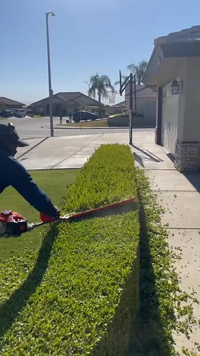 #Satisfaction #triming #lawn #foryourpage #Flowers #grass #seed | Alducin3