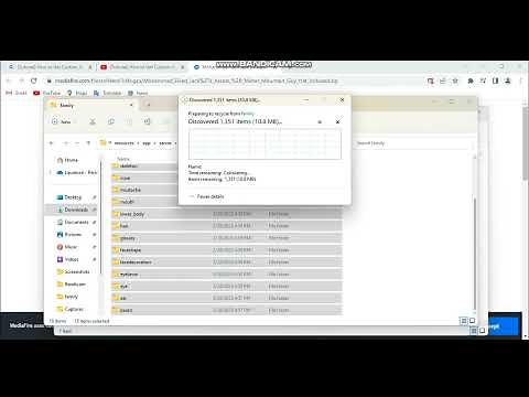 how to get custom assets on wrapper offline) WORKING