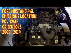 Mustang Emissions Locations and Info. PCV Valve, Oxygen Sensors, and EVAP Purge & Vent.
