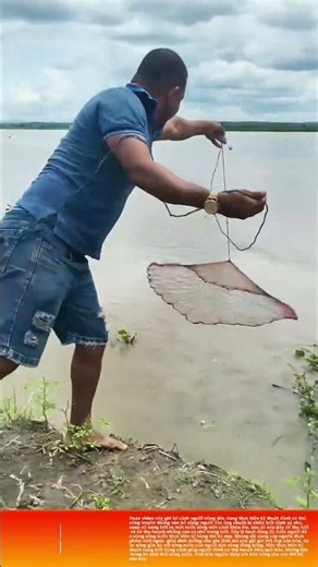 Vung lưới đánh cá ven bờ sông: Thu hoạch cá tươi tự nhiên, giữ gìn văn hóa sông nước truyền thống