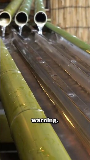 Eating Noodles from a Bamboo Water Slide in Japan 🍜