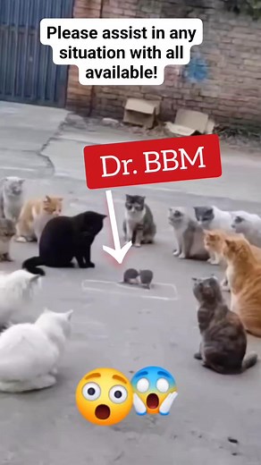 4.6K views · 34 reactions | They manipulate you into fighting one...