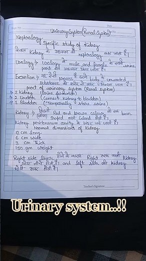Urinary system (renal system) structure of kidney hort notes#sciencefield #youtube