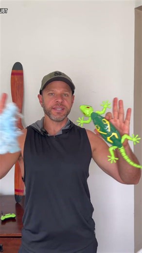 Watch me turn a wall climbing gecko toy into a DIY cleaning gadget