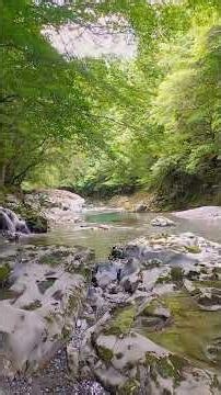 【自然の音 - 3min】白岩を流れる清流（和らぎ）
