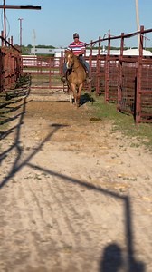 8.3K views · 652 reactions | I know y’all followed the Dun horse,...