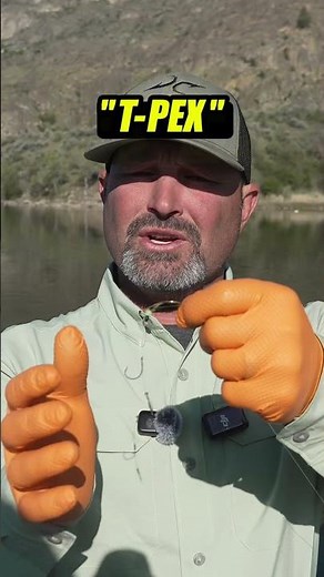 Our #1 Best Selling Lure
