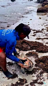 BIGGIE BIGGIE BIGGIE! #bigfish #slomo #edits #snapper | AdVenture Bro