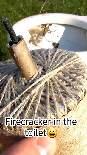 Firecracker vs toilet #fypシ #experiment #explosivetv